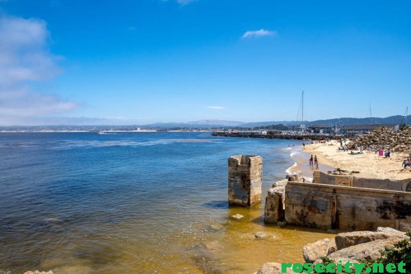 Pantai Negara Bagian Asilomar