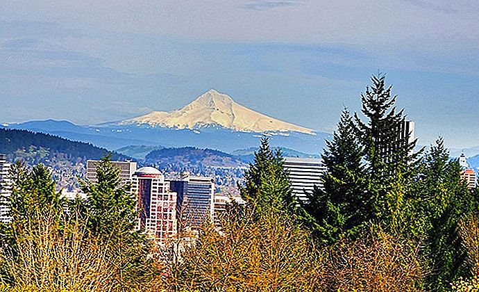 Hal yang Sangat Menyenangkan untuk Dilakukan di Portland bersama Anak